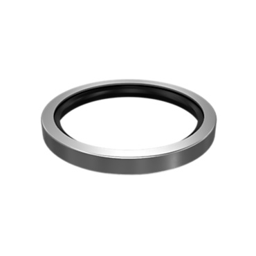3B-9378: 123.95mm Outer Diameter Lip Type Seal