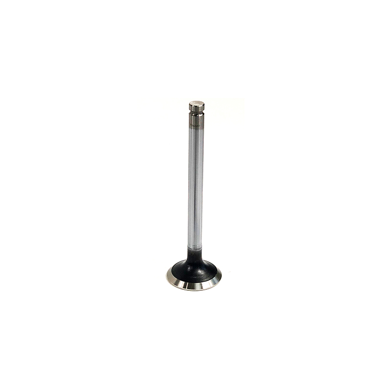 100-4626: VALVE IN