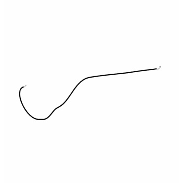 107-8150: Hose Assembly