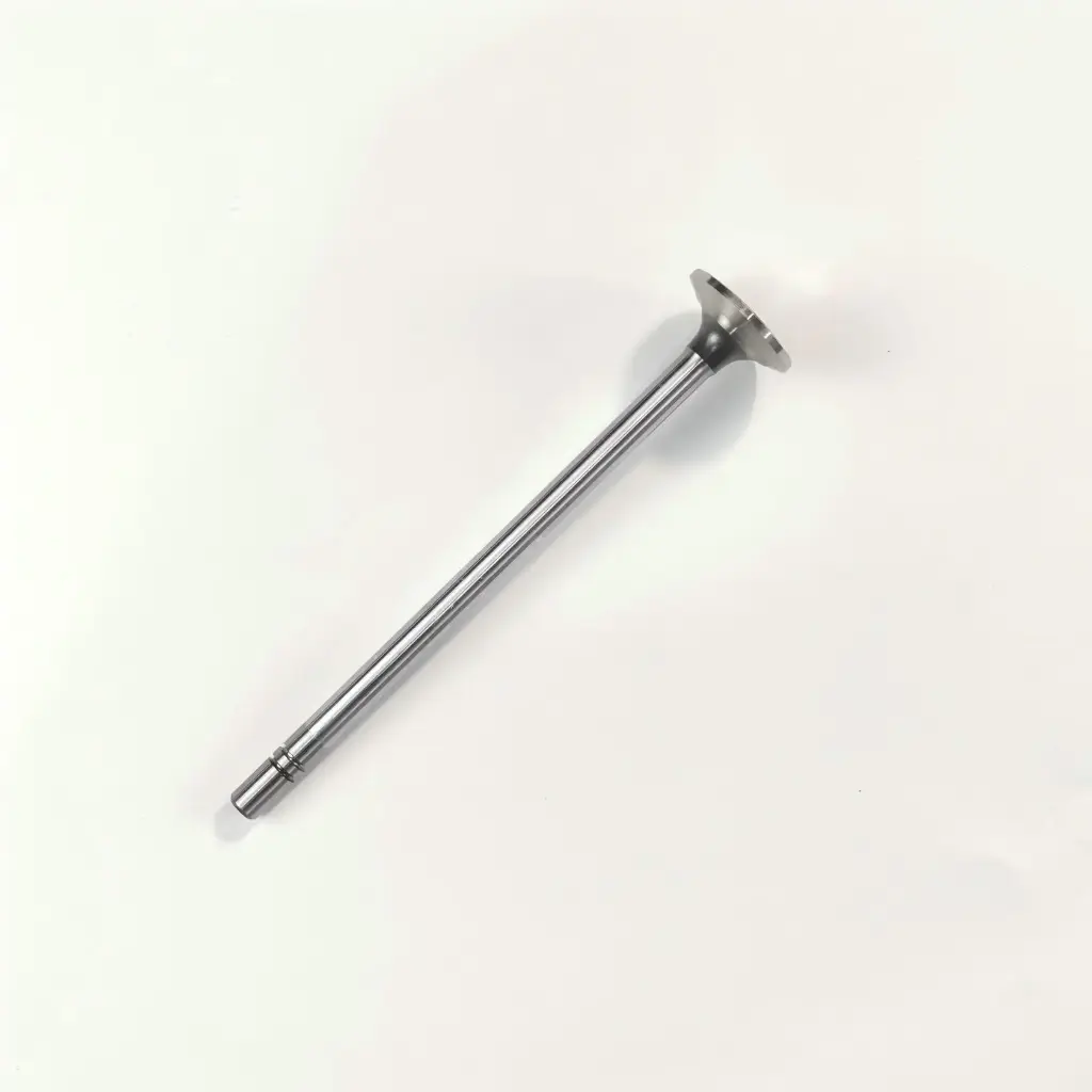 163-2442: VALVE-INTAKE