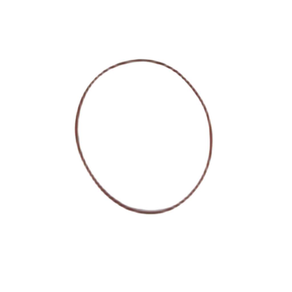 167-0024: 120.30mm Inner Diameter Liner Seal