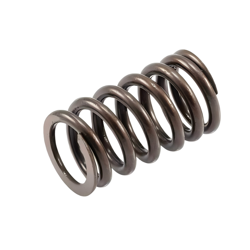 [1011180] 101-1180: SPRING-VALVE