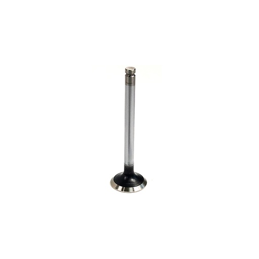 [1456855] 145-6855: Engine Inlet Valve