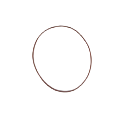 [1670024] 167-0024: 120.30mm Inner Diameter Liner Seal
