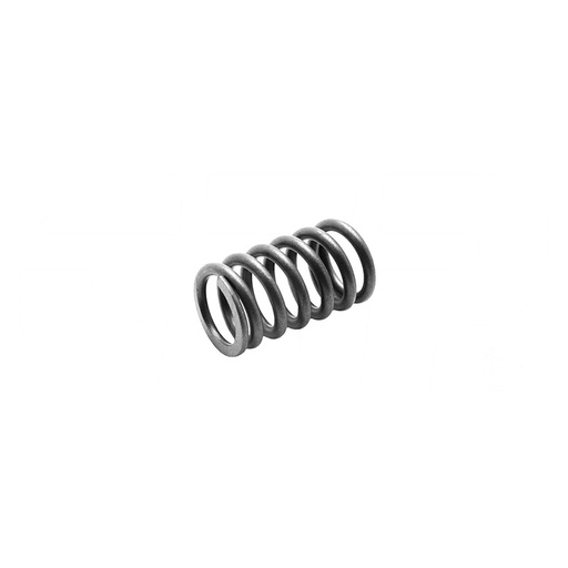 [6I0271] 6I-0271: SPRING